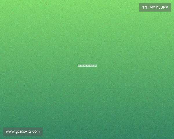 积分赛的比赛及成绩评定过程